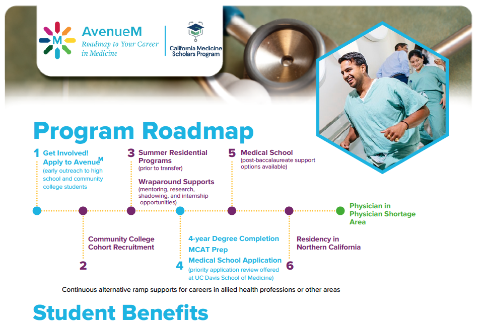 AvenueM Program Roadmap